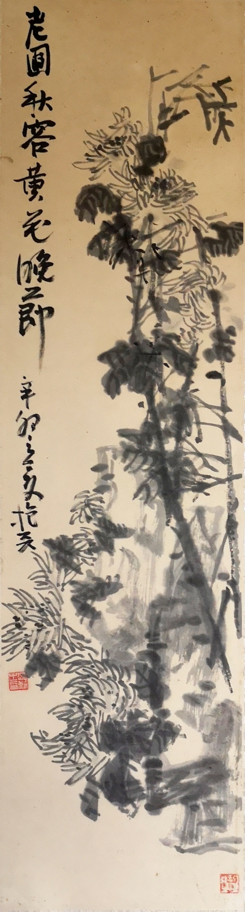 黄花