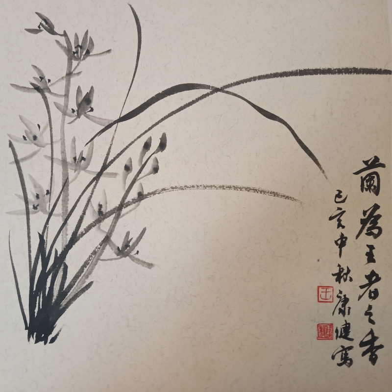 素雅幽兰