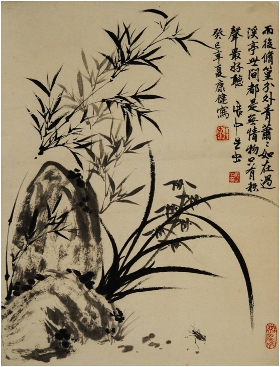 兰花