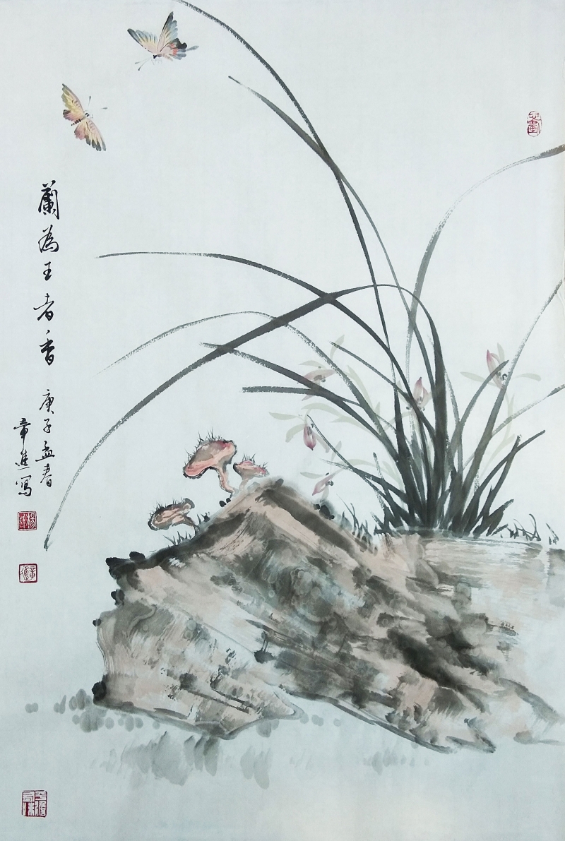 蝴蝶兰花