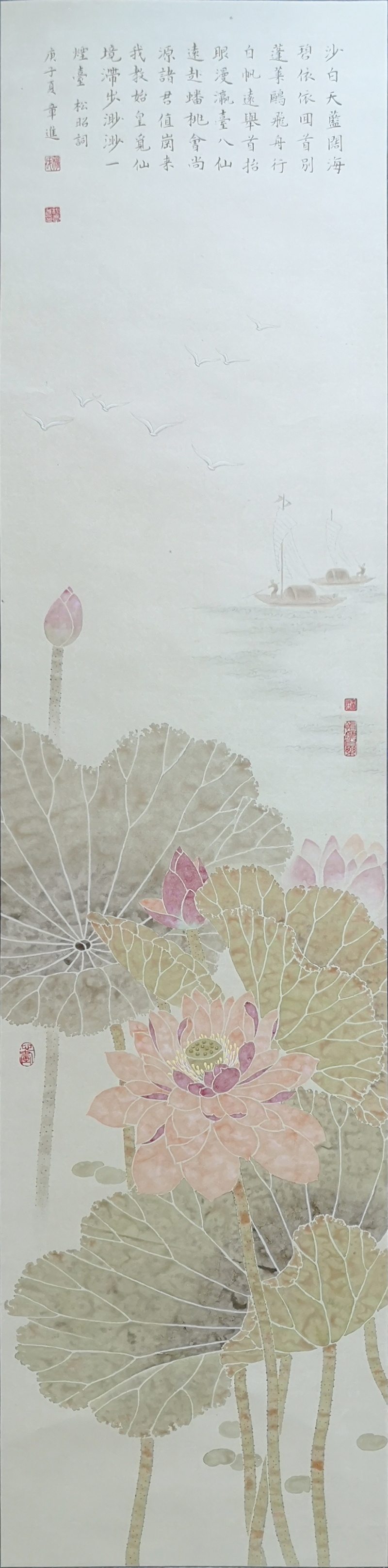 荷花